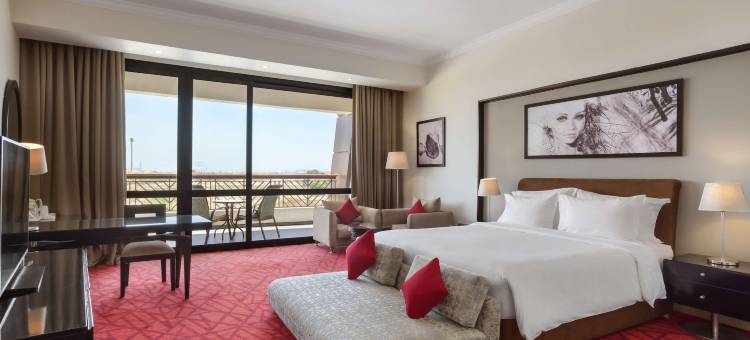 丽笙蓝标酒店及会议中心, 亚历山大(Radisson Blu Hotel & Convention Center, Alexandria)图片