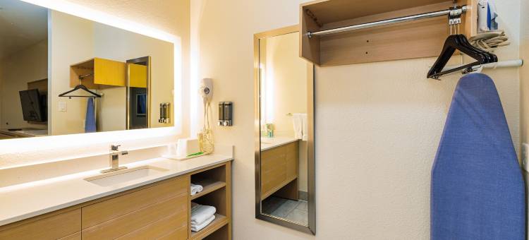 蓝宫酒店东IAH(Palace Inn Blue IAH East)图片