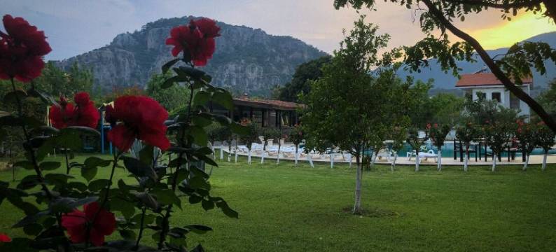 Hotel Palme Dalyan图片