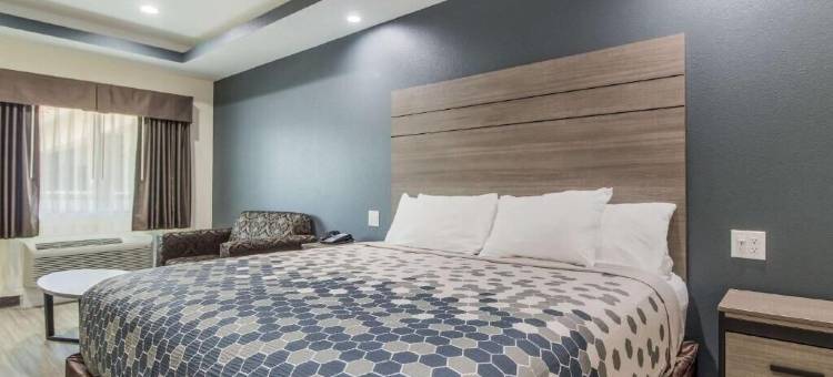 休斯顿国际机场经济旅馆套房酒店(Regency Inn & Suites Humble FM1960 - IAH Airport)图片