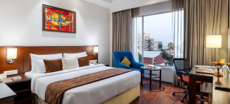 斯塔普拉万寿菊酒店(Hotel Marigold Jaipur)图片