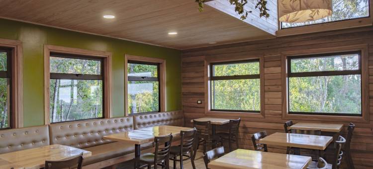 达斯·多夫(Das Dorf Hotel)图片