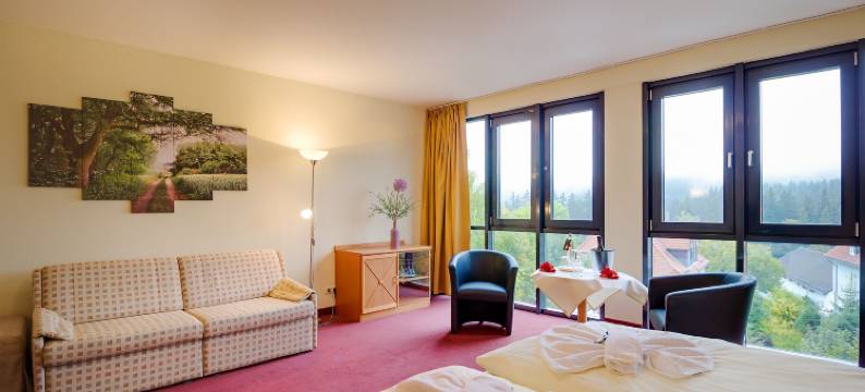 布罗肯地区酒店(Regiohotel am Brocken Schierke)图片