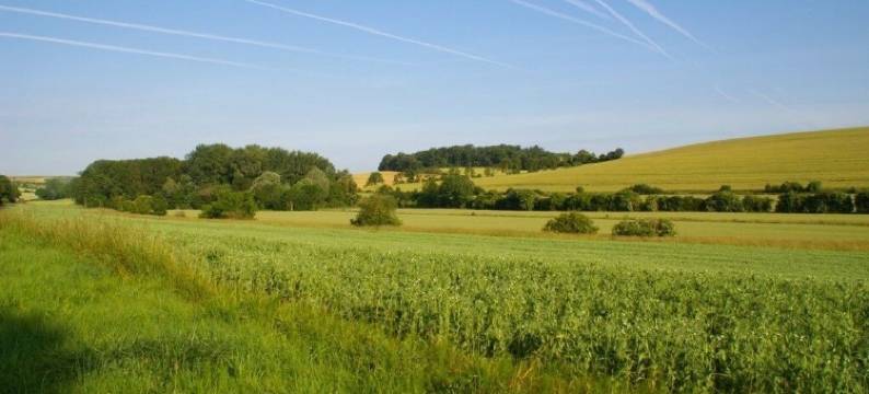 温辛穆萨尔丁住宿加早餐旅馆(La Musardine en Vexin)图片