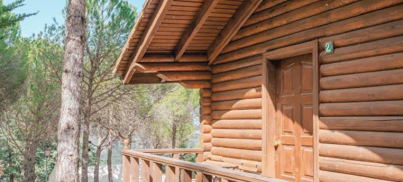 塔霍罗迪略露营地(Camping TajoRodillo)图片