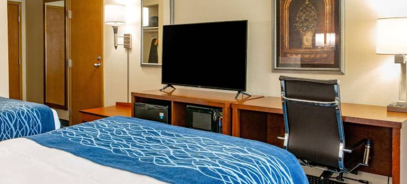 皮克顿舒适酒店靠近展览场(Comfort Inn Piketon Near Fairgrounds)图片