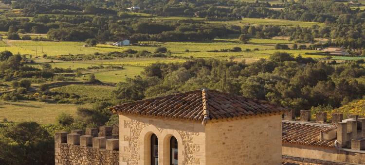 克里隆勒布拉沃酒店(Hotel Crillon le Brave)图片