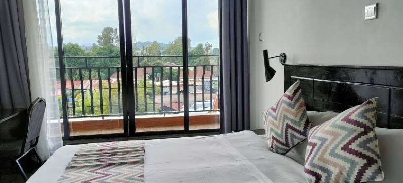 埃兹里酒店(The Hotel Ezri)图片