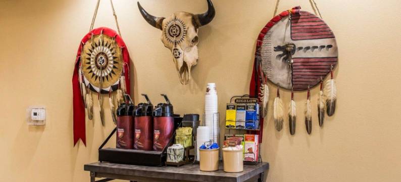 拉皮德城美茵斯坦套房酒店(MainStay Suites Rapid City)图片