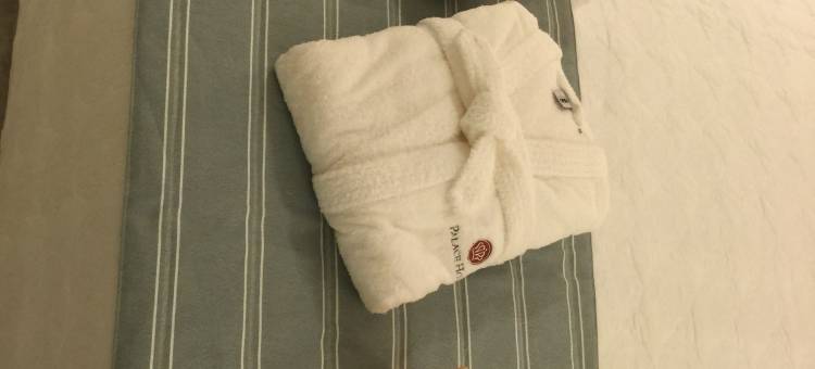 坎普斯道斯戈依他卡兹王宫酒店(Palace Hotel Campos Dos Goytacazes)图片