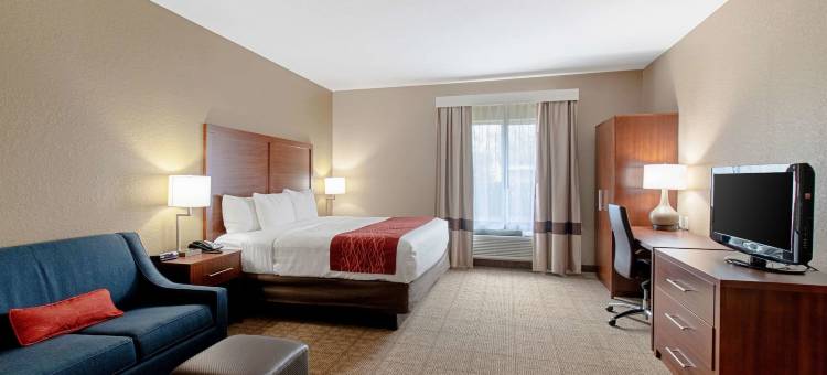 弗雷德里克斯堡舒适套房酒店(Comfort Inn and Suites Fredericksburg)图片