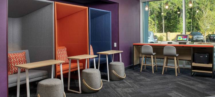 芒特普莱森特查尔斯顿希尔顿Tru酒店(Tru by Hilton Mt. Pleasant)图片