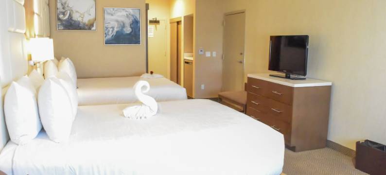 阿纳海姆温德姆酒店(Wyndham Anaheim)图片