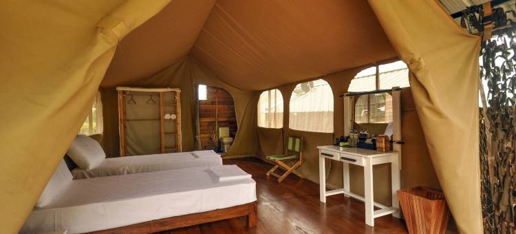 野生露营纳克尔斯(Wild Glamping Knuckles - Thema Collection)图片