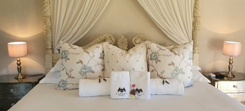 史拉雷乡村别墅酒店(Slaley Country House)图片