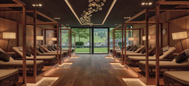 雪绒花 - 萨尔斯堡山度假酒店(Das Edelweiss - Salzburg Mountain Resort)图片