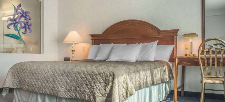 维法斯维罗德威酒店(Rodeway Inn Fallsview)图片