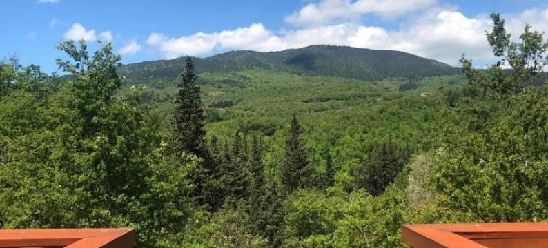 雅博卡萨酒店(L'Alberocasa Eco Residence)图片