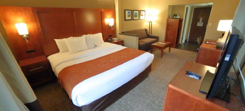 伯利恒舒适套房酒店-近利哈伊大学和LVI机场(Comfort Suites Bethlehem Near Lehigh University and LVI Airport)图片