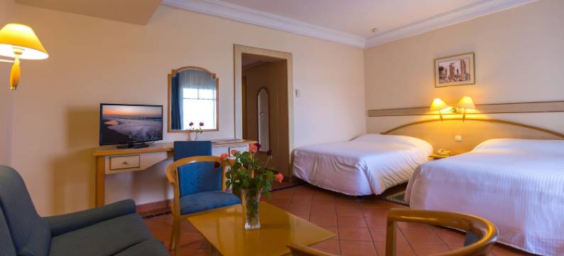 麦地那柏利撒尔海水浴酒店(Medina Belisaire and Thalasso)图片