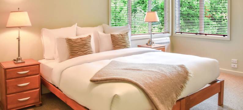 河桦树酒店(River Birches Lodge)图片