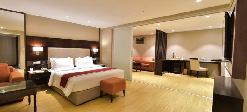 班加罗尔萨洛瓦城堡门廊酒店(Citadel Sarovar Portico Bengaluru)图片