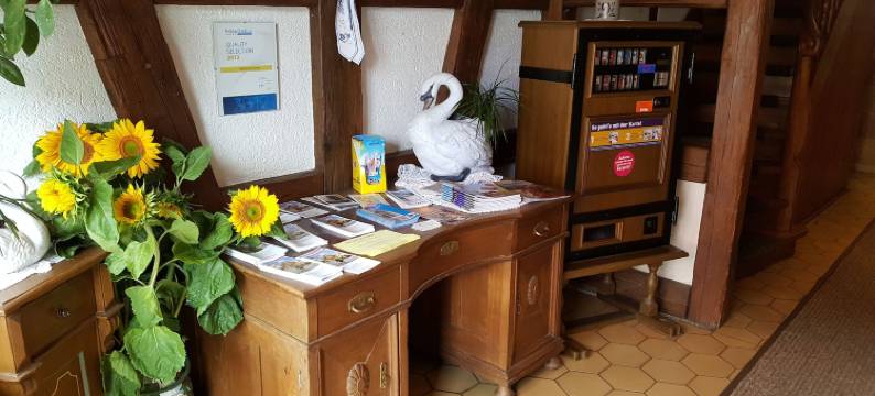 祖姆斯彻万恩旅馆酒店(Hotel Gasthof zum Schwan)图片