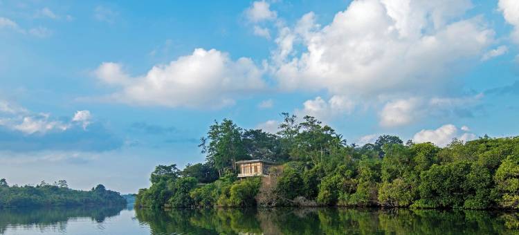 阿玛雅Tri(Tri by Amaya)图片