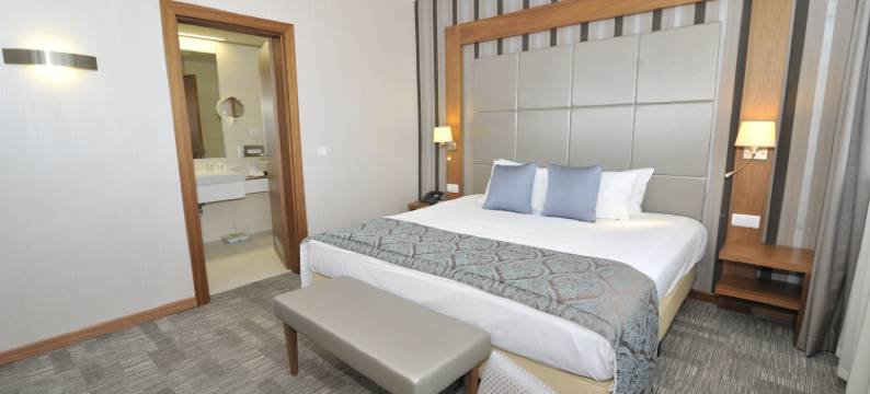 Holiday Inn 斯科普里(Holiday Inn SKOPJE by IHG)图片