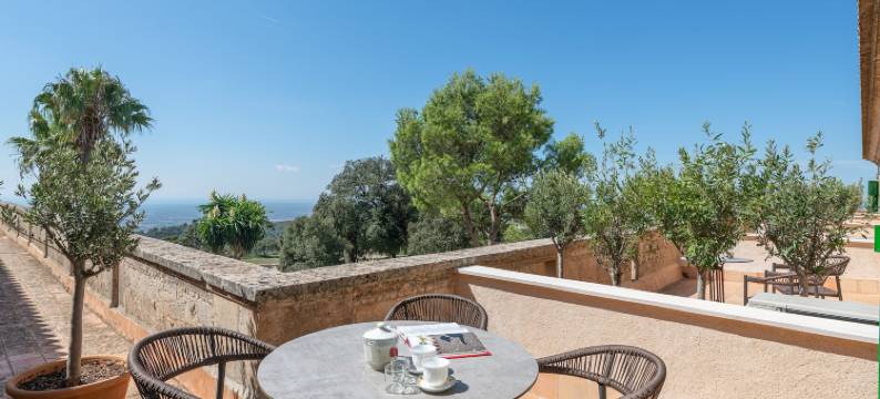 桑图艾里德卢克酒店(Santuari de Cura)图片