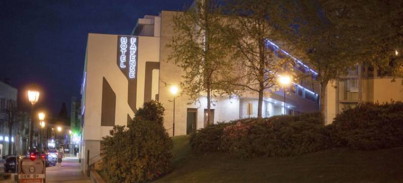 法芬斯酒店(Hotel Fafense)图片