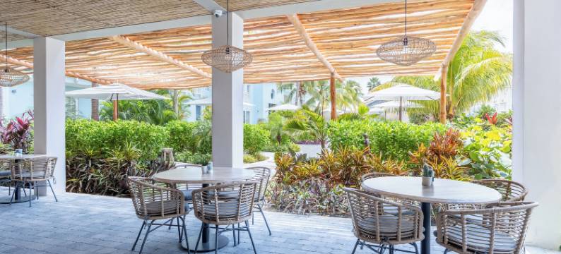 库拉索海豚养生套房(Dolphin Suites & Wellness Curacao)图片