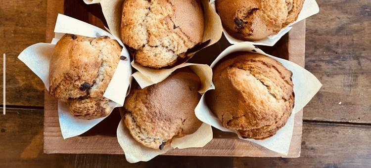 北蒙特利马中世纪之家酒店(Logis Hôtel Médiéval, Montélimar Nord)图片