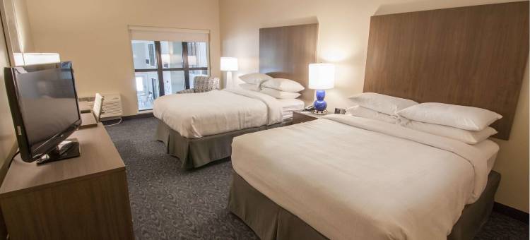 雷诺沃酒店(Hotel Renovo des Moines Urbandale, Tapestry Collection by Hilton)图片