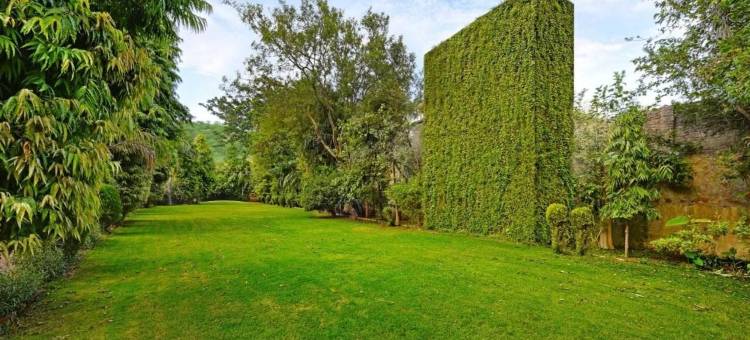 萨瓦伊马多普尔的芬恩兰塔姆博尔森林度假村，万豪系列(The Fern Ranthambhore Forest Resort Sawai Madhopur, Series by Marriott)图片