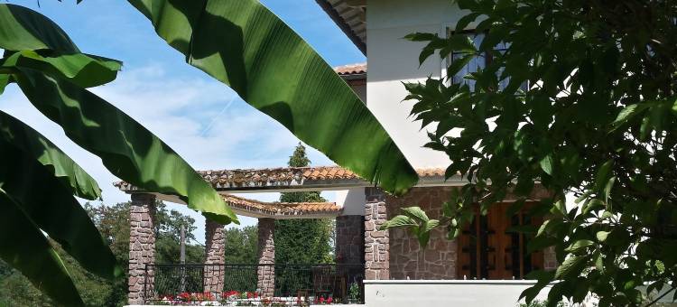 13 蜜蜂酒店(13 Bees)图片