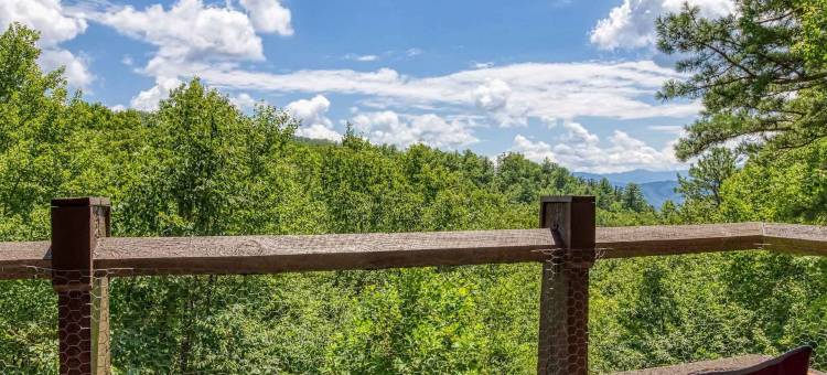 新装修的五星级公寓泳池美景(1023 English Mtn Condo by Beyond Expectations)图片