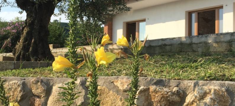 丰塔内拉酒店(La Fontanella)图片