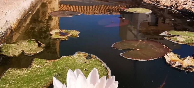 Senia del Rais度假村(Casa Vacanze Senia Del Rais)图片