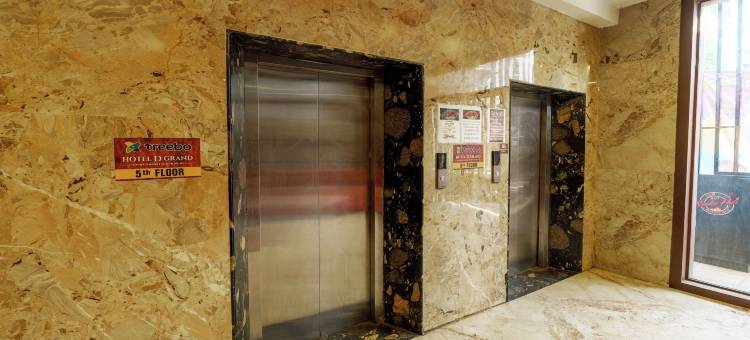 Treebo D Grand图片