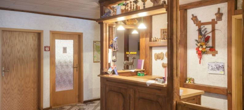 瓦德斯西斯布森科普公寓酒店(Hotel Waldoase Hirschbüchenkopf)图片