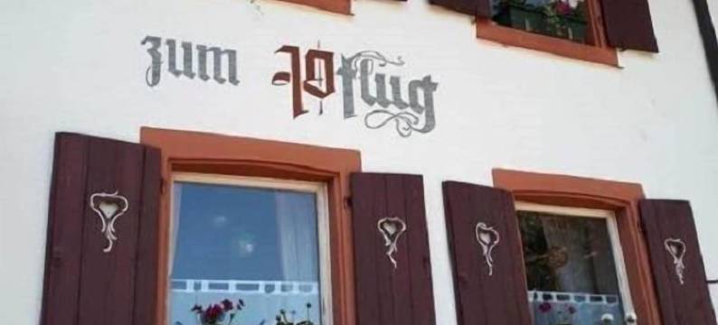 酒店 - Landgasthof Zum Pflug(Hotel Landgasthof Zum Pflug)图片