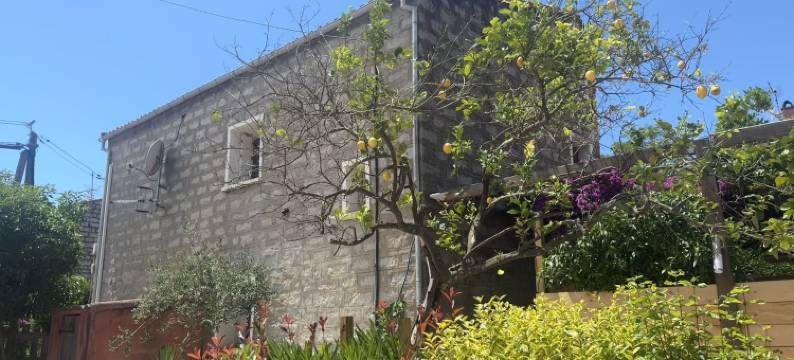 Terra Bella 膳宿公寓(Chambres d'Hôtes Terra Bella Lecci)图片