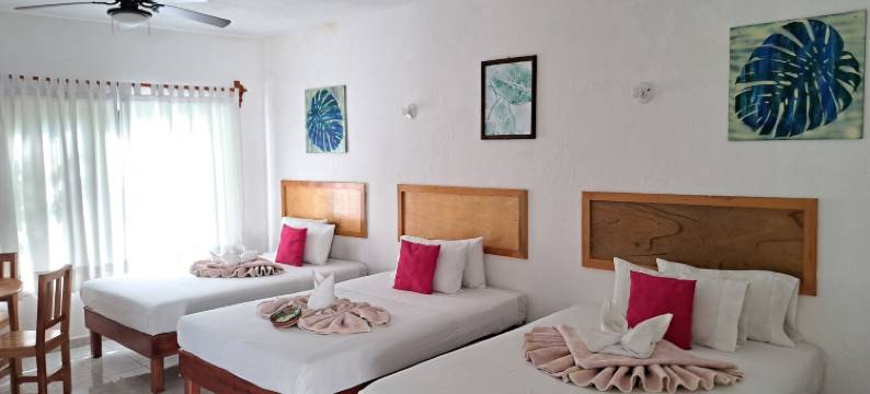 昆塔帕拉伊索可可约克酒店(Hotel Quinta Paraiso)图片