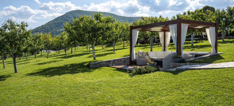 德杰尼伽酒店(Hotel Degenija)图片