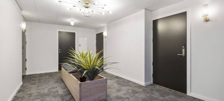 VANDER - 海洋故事(Vander - Sea Story)图片