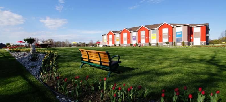 廸日美斯酒店(Dreamz Inn)图片