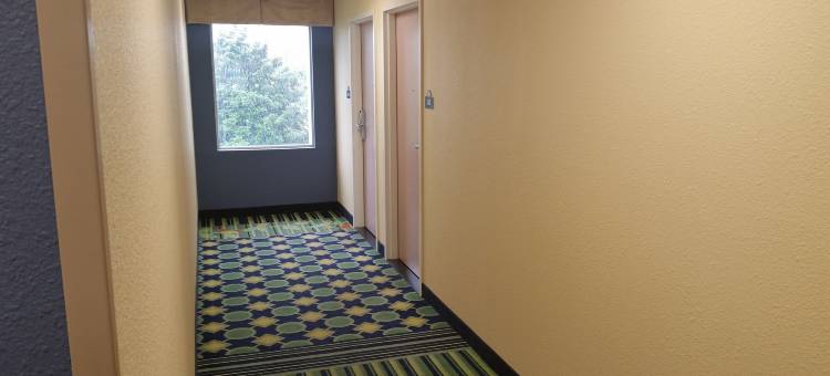 查塔努加/汉密尔顿广场戴斯酒店(Days Inn by Wyndham Chattanooga/Hamilton Place)图片