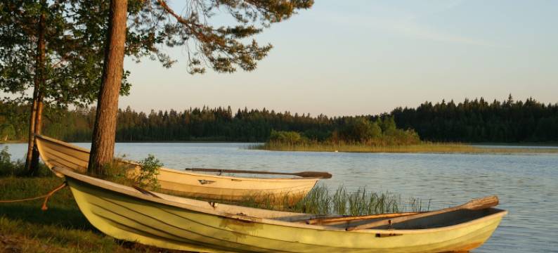 蓬卡哈尔尤哈皮玛格度假村(Hapimag Ferienwohnungen Punkaharju)图片