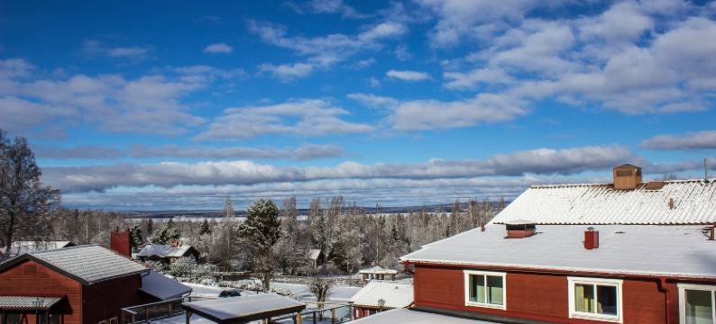 金霍尔尼特(Hotell Gyllene Hornet)图片